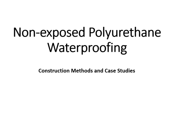 Non-exposed Polyurethane Waterproofing (Private Swimming Pool Construction in Vi...